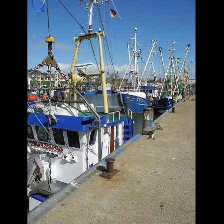 Neu! Fewo Sankt Florian Naehe Heide, Spo, Buesum Lehe  Exterior foto